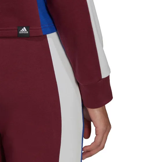 adidas Big Logo Trainingspak Women
