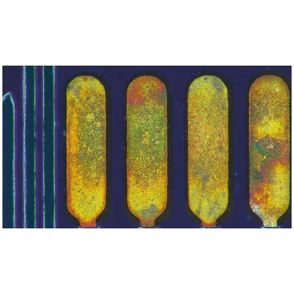 Leica microsystems Digitale microscoop Emspira 3 met statief voor opvallend en doorvallend licht, Type: 24